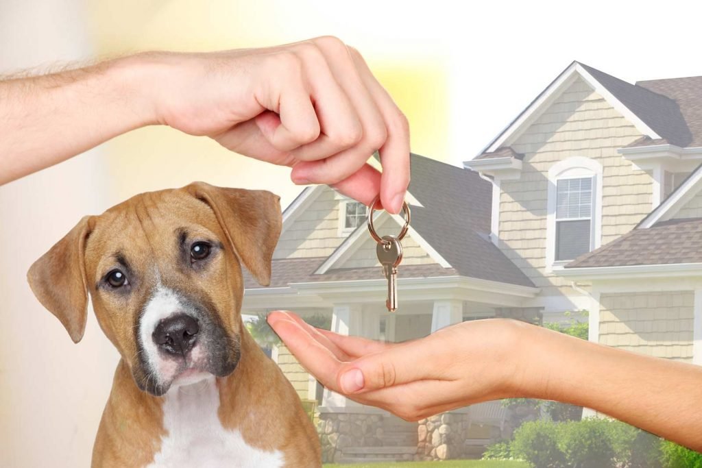 A person hands house keys to another person in front of a house, with a brown and white dog in the foreground.