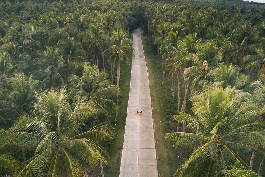 A straight concrete road runs through dense palm trees, with two people walking in the middle of the road.